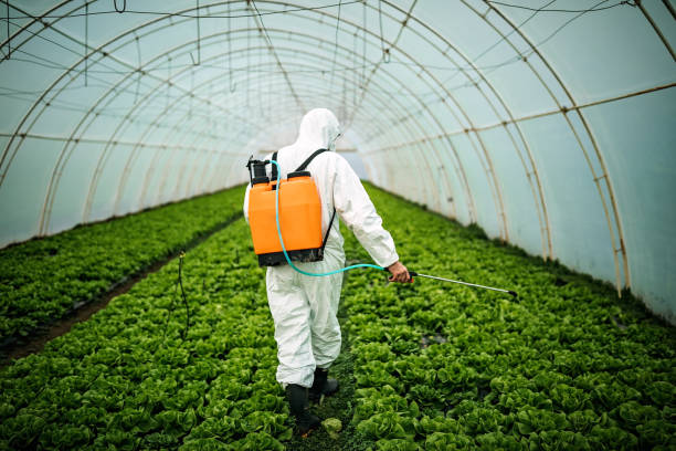 Best Commercial Pest Control Services  in Graysville, AL