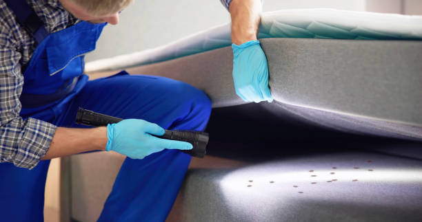 Reliable Graysville, AL Pest Control Solutions