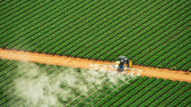 Best Affordable Exterminators  in Graysville, AL