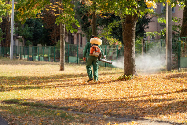 Best Exterminator Services  in Graysville, AL