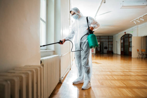 Best Pest Inspection Near Me  in Graysville, AL