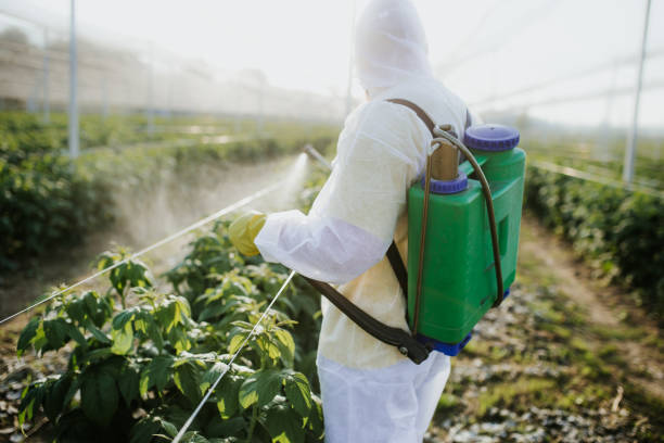 Pest Control for Restaurants in Graysville, AL